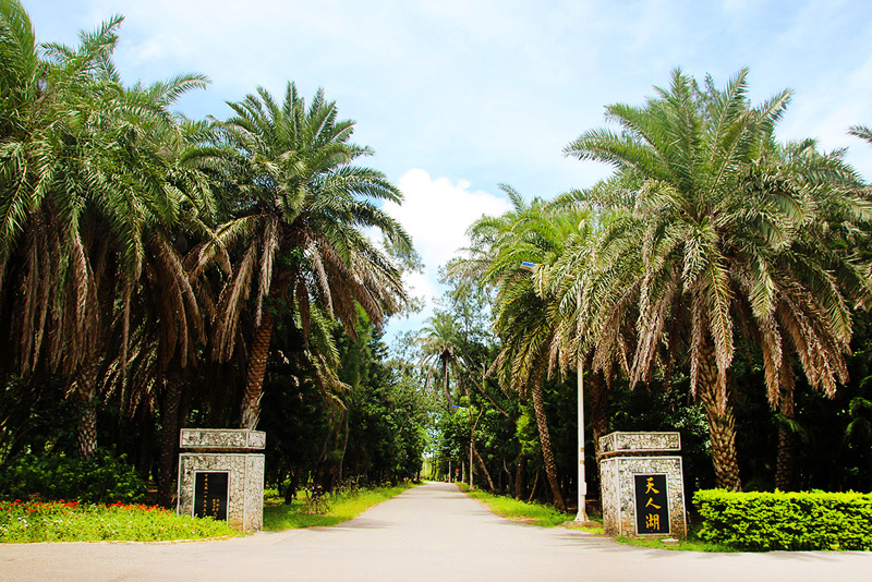 菊苑休憩園區（澎湖休憩園區）