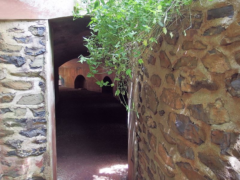 五孔頂（內垵框舍）