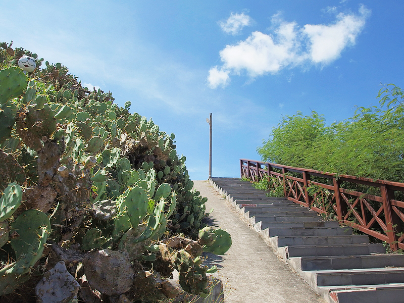 赤崁仙人掌公園