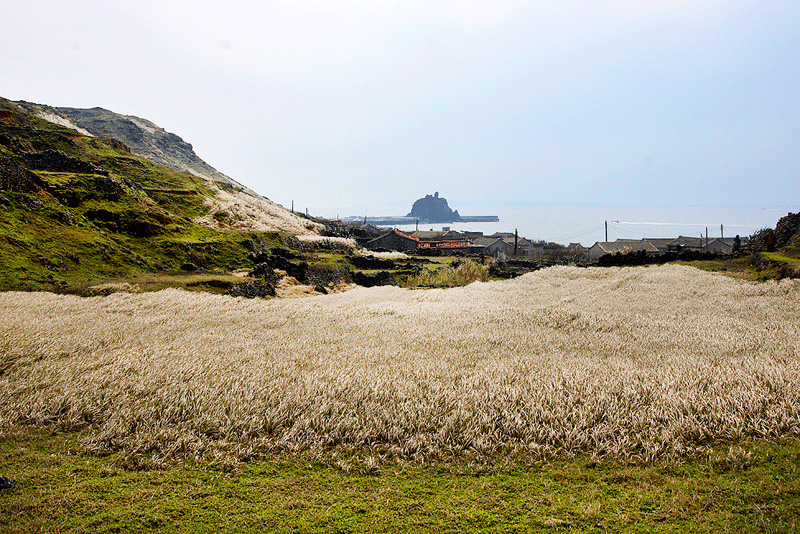 東嶼坪嶼