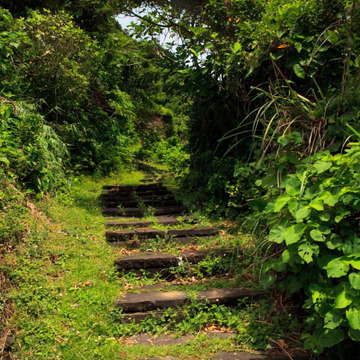 過山古道